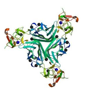 Protein Structure Not Found