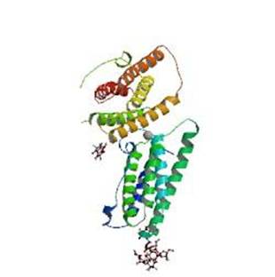 Protein Structure Not Found